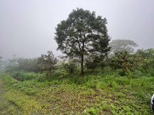 大溪風景區農地 合法資材室 有水有電