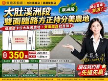 💕《置產好物》大肚溪洲段雙面臨路方正持分美農地