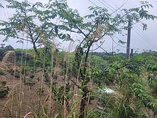 日若山莊前一站方正臨路俗農地