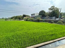 霧峰舊正交流道旁開價接近公告地價農地