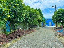 旗山十八份段｜優質酪梨田美農地｜有資材室有水電｜