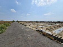 台南佳里蚶寮段特農1.3分農保地