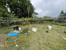 退休首選假日農夫🌸拉拉山水蜜桃果園