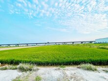 🏡 朴子東西向｜都計內農地｜增值可期