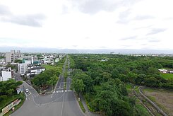 羅東運動公園！景觀美景三房＋平面大車位✨錯過不在