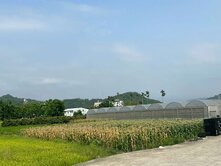 專賣霧峰舊正近交流道漂亮方正節稅美農地