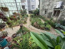 !A成功大學育樂街37坪方正建地
