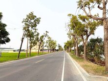 白河.12米下庄路上低總價農地