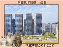 公園第一排｜鼎宇景觀豪宅❤️四房平車