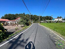 近高鐵臨路5米大面寬漂亮農地/可分割賣