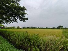 觀音近大園客運園區/草漯重劃區美農地