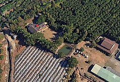 【六龜◆英國建築風格】合法農舍歐風渡假休閒景觀莊園