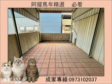 陽明商圈❤️正四樓RC透天