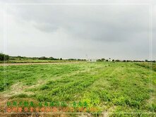 安定管寮社區漂亮農地0931384262