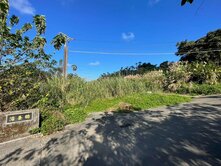 三芝三生歩道浩養橋頭大坑溪畔梯田櫻花的故鄉