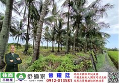 近大鵬灣雙面臨路美農地