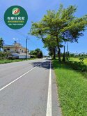 【獨家專約・新埤近市區美好大農地】