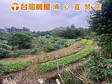 🌿楊光中小學金溪路一般農🥩大楊梅胖胖