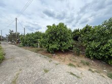 專/楠西近玉井台3線9分果園/一般農業區~~
