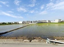 高雄林園港子埔段區段徵收方正都內農地