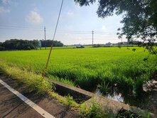 富岡國中美農地3