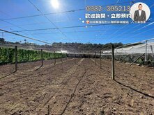 約35米大面寬‼️臨路方正農地找健豪✨