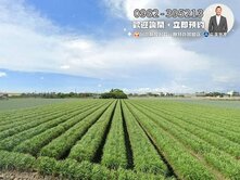 活路有水電‼️方正千坪臨路農地找健豪✨