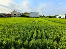 烏日重建段都計內農地