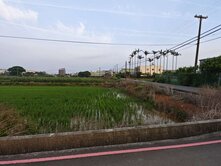 觀音三面臨路美農地