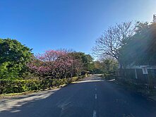 新北淡水區鄉根園社區型管理興仁段地面平坦丙建