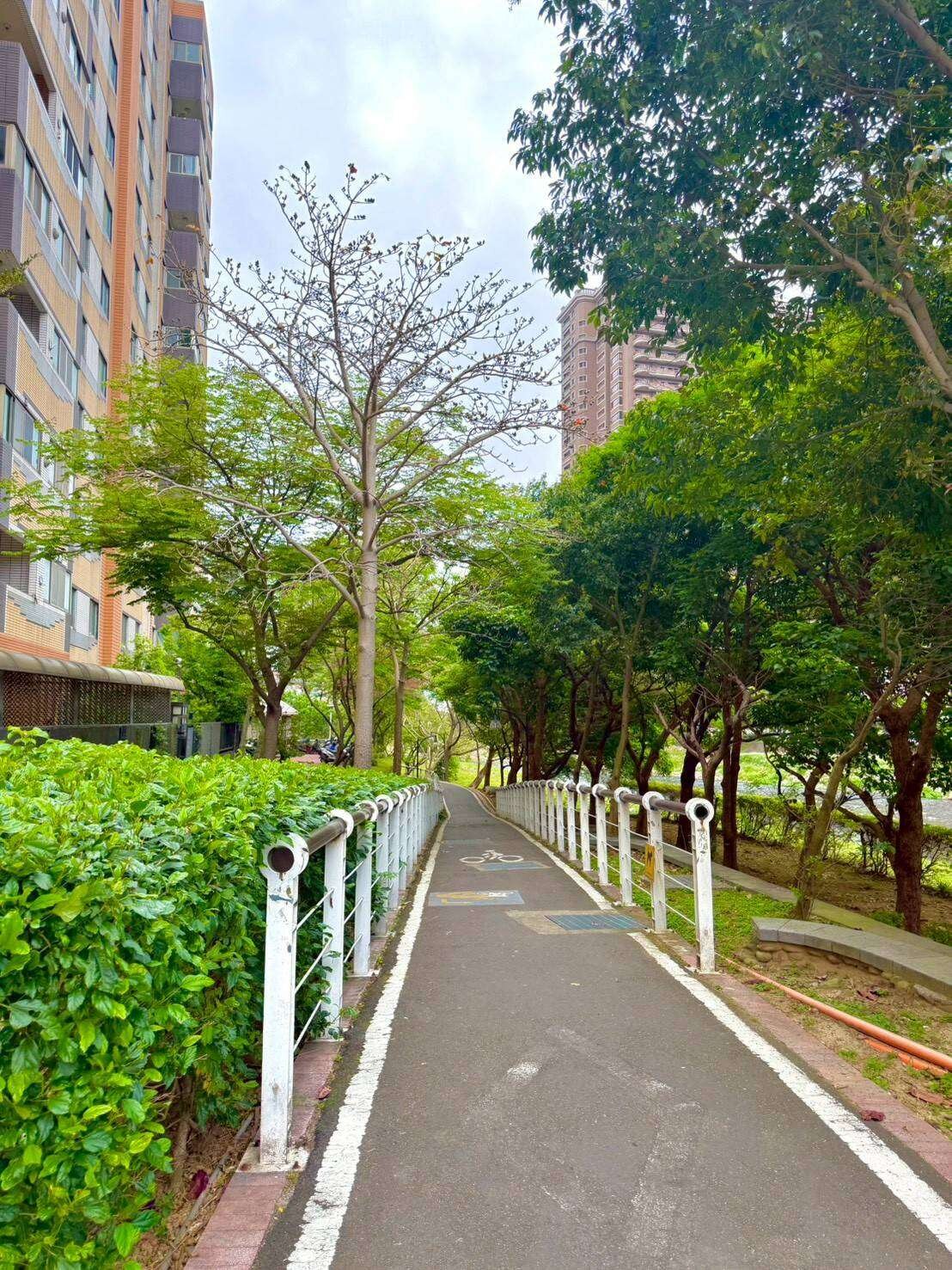 封面圖