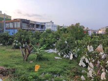林園區雙面臨路大地坪建地