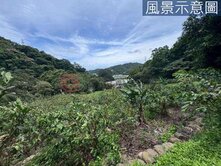 誠意地主出價談🌈五股保護區農地 有水電植栽