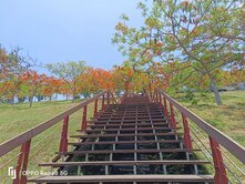 大坪頂 坪鳳公園大地坪漂亮雙車墅
