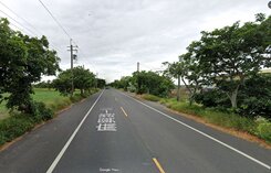 佳里12米路果樹美農地