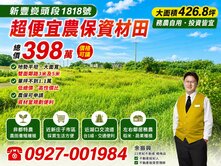 🥜新豐崁頭段便宜農保資材田