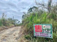 獨家專售★台東池上伯朗大道旁便宜農地UF1542