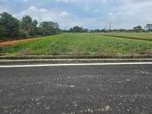 楊湖路便宜農地(1)
