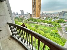 ✨草悟道｜面綠園道｜3平車｜全新樓中樓