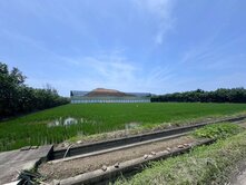 新竹稀有海埔正路旁優質農地