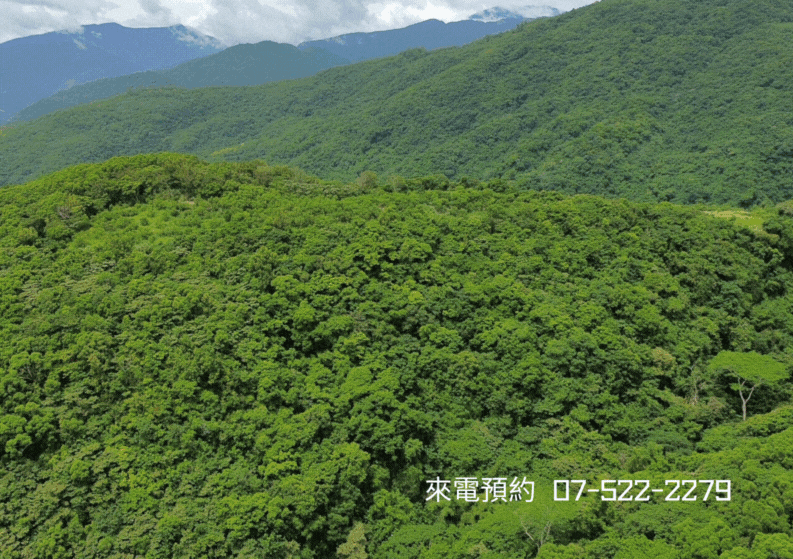 【獨家】多良背山面海原保地￥