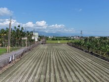 潮州興美段黃金農地｜三面臨路條件極美可蓋農舍