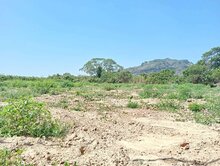 楠西新鹿田農地