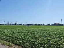 千坪大面寬優質都計內農地附台電灌溉設施完善