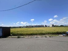 ❤️股票有波動.土地有價值.林園捷運農地❤️