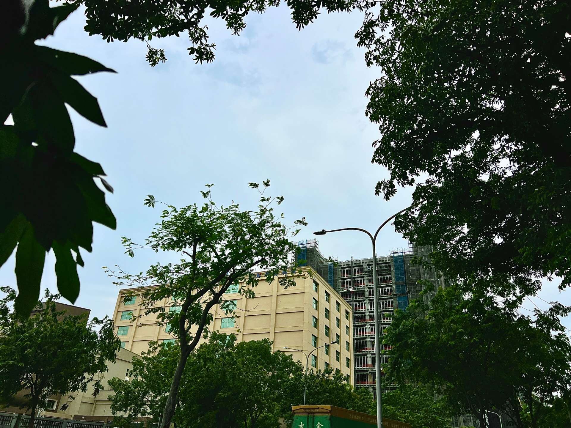 封面圖