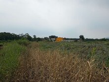 屏東縣萬巒鄉赤新段沿山公路旁平坦一般農業用地