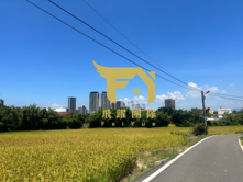 近大崙國小田+建