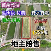 專任｜苑裡藍田大面寬臨路農地