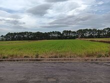 新屋三民路一段千坪農田-地形方正